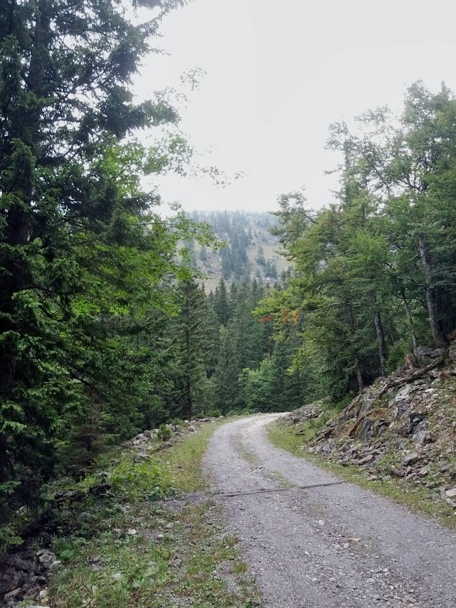 lh5.googleusercontent.com_--byarup18b0_ujswn07jfyi_aaaaaaaaqza_t9gj1mhwidm_w650-h866-no_img_20130914_104610.jpg lh5.googleusercontent.com_--byarup18b0_ujswn07jfyi_aaaaaaaaqza_t9gj1mhwidm_w650-h866-no_img_20130914_104610.jpg