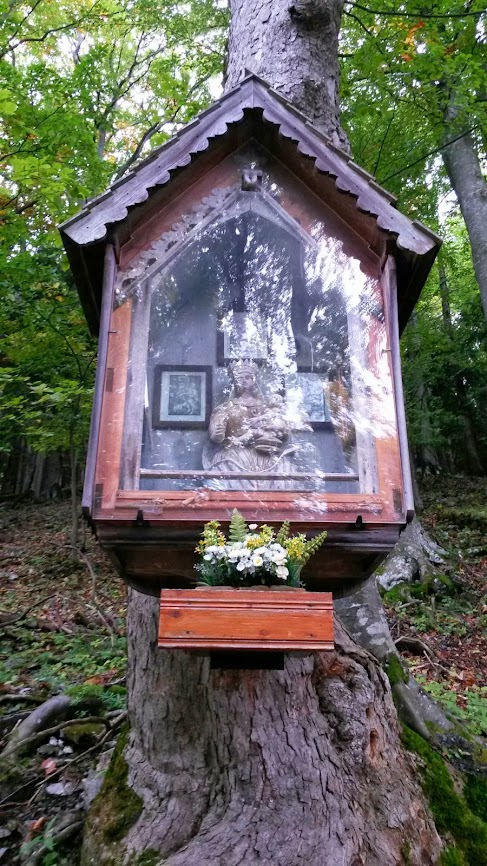 lh4.googleusercontent.com_-nzxoovzqvgk_ukgkpdhtmyi_aaaaaaaaqsy_qu7hcrhd6s8_w487-h866-no_20130929_100418.jpg lh4.googleusercontent.com_-nzxoovzqvgk_ukgkpdhtmyi_aaaaaaaaqsy_qu7hcrhd6s8_w487-h866-no_20130929_100418.jpg