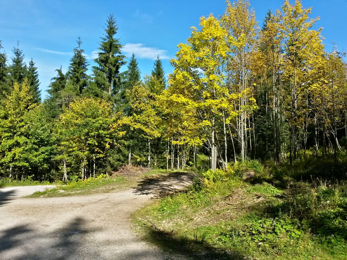 lh6.googleusercontent.com_-kt1n0gujotg_vg_ze5t3c_i_aaaaaaaaols_saw3ihaouv8_w1209-h907-no_20151003_141332_richtone_2528hdr_2529.jpg lh6.googleusercontent.com_-kt1n0gujotg_vg_ze5t3c_i_aaaaaaaaols_saw3ihaouv8_w1209-h907-no_20151003_141332_richtone_2528hdr_2529.jpg