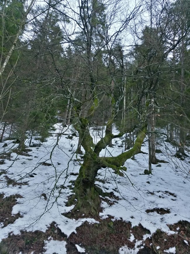 lh3.googleusercontent.com_-sqbjj4d3gke_uq3xghyjgmi_aaaaaaaatoy_31lqvdtmq4i_w650-h866-no_20131215_142818_richtone_2528hdr_2529.jpg lh3.googleusercontent.com_-sqbjj4d3gke_uq3xghyjgmi_aaaaaaaatoy_31lqvdtmq4i_w650-h866-no_20131215_142818_richtone_2528hdr_2529.jpg