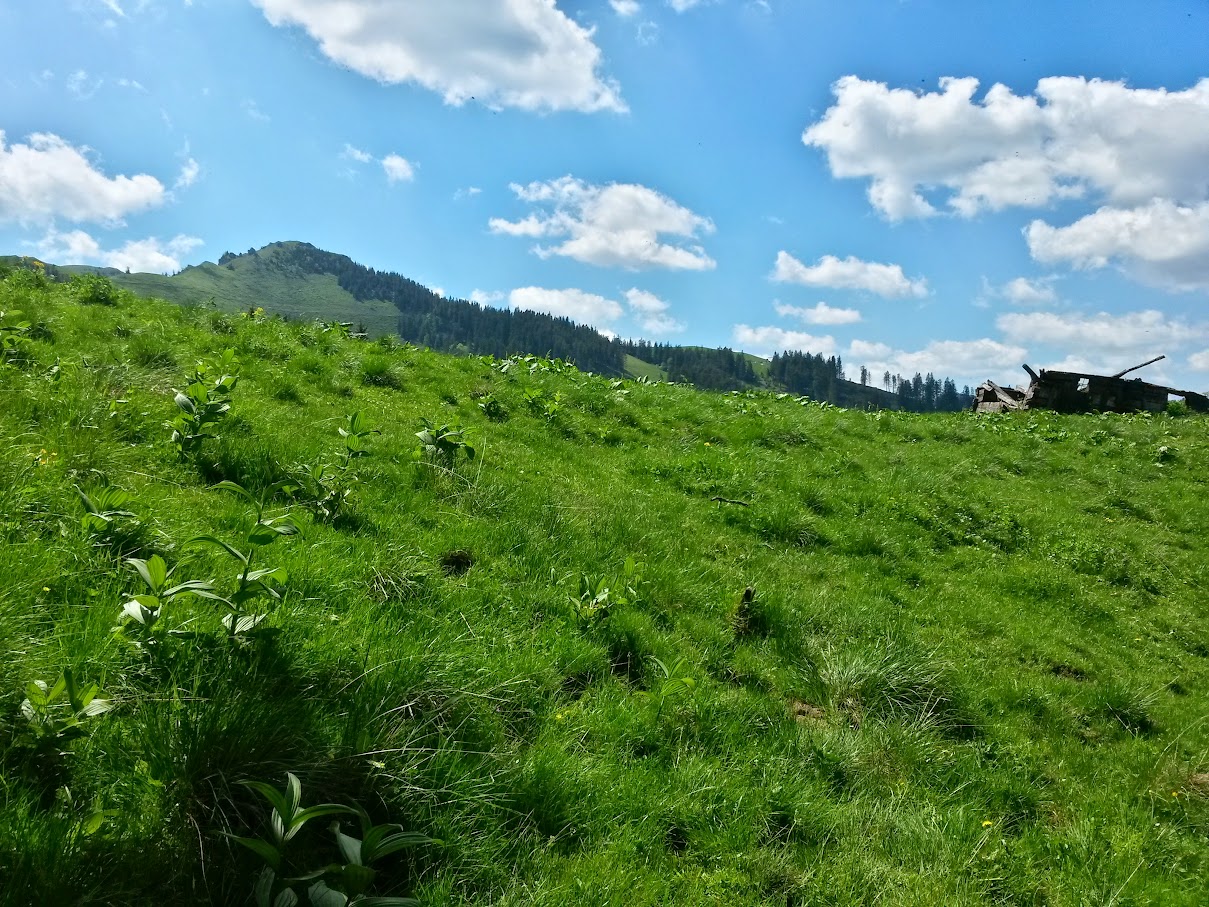 lh4.googleusercontent.com_-pq61xke3kuy_vxl_-pngk8i_aaaaaaaaj0o_2lfu2nfo9ky_w1209-h907-no_20150606_112839_richtone_2528hdr_2529.jpg lh4.googleusercontent.com_-pq61xke3kuy_vxl_-pngk8i_aaaaaaaaj0o_2lfu2nfo9ky_w1209-h907-no_20150606_112839_richtone_2528hdr_2529.jpg