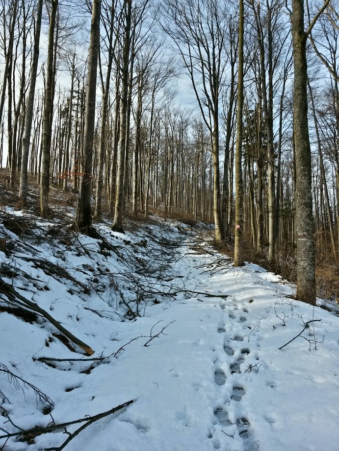 lh6.googleusercontent.com_-ylh6rbbepug_vkgz87y3dfi_aaaaaaaagse_ssrkcjngrro_w691-h921-no_20150103_104727_richtone_28hdr_29.jpg lh6.googleusercontent.com_-ylh6rbbepug_vkgz87y3dfi_aaaaaaaagse_ssrkcjngrro_w691-h921-no_20150103_104727_richtone_28hdr_29.jpg