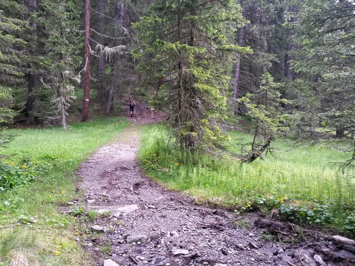 lh5.googleusercontent.com_-f1iu8bc_i2g_vx2tbh9n9vi_aaaaaaaakm0_gb1nhmvqtfy_w1200-h900-no_20150613_084820_richtone_2528hdr_2529.jpg lh5.googleusercontent.com_-f1iu8bc_i2g_vx2tbh9n9vi_aaaaaaaakm0_gb1nhmvqtfy_w1200-h900-no_20150613_084820_richtone_2528hdr_2529.jpg