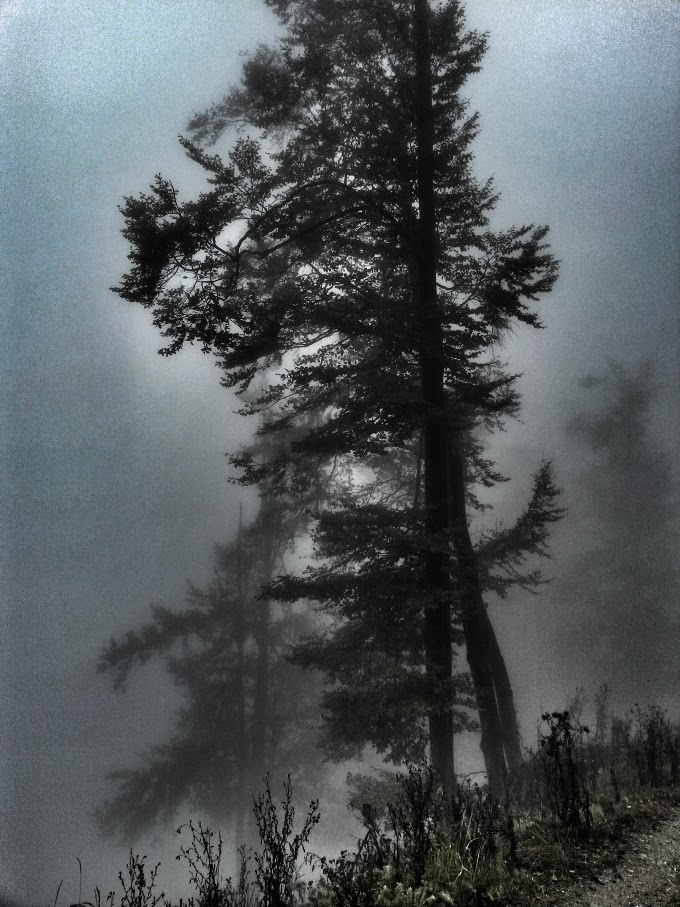 lh6.googleusercontent.com_-gbatuximzz0_vhkegmrtnci_aaaaaaaaosq_r_28zo40lkc_w680-h907-no_20151010_111309_richtone_2528hdr_2529.jpg lh6.googleusercontent.com_-gbatuximzz0_vhkegmrtnci_aaaaaaaaosq_r_28zo40lkc_w680-h907-no_20151010_111309_richtone_2528hdr_2529.jpg