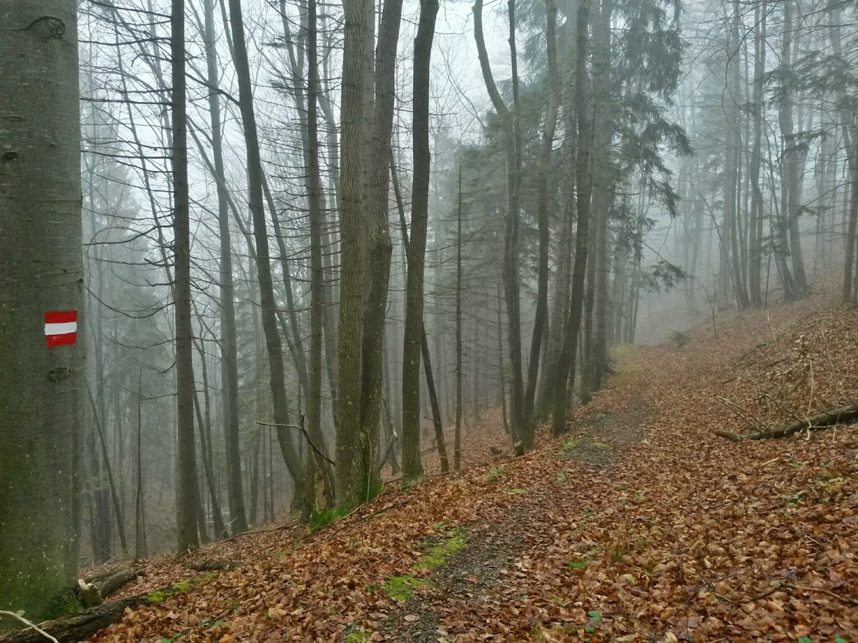 lh5.googleusercontent.com_-xnm4iqgaavw_vholjxkn7ki_aaaaaaaafp8_3cz4nxrc82w_w1228-h921-no_20141129_134505_richtone_28hdr_29.jpg lh5.googleusercontent.com_-xnm4iqgaavw_vholjxkn7ki_aaaaaaaafp8_3cz4nxrc82w_w1228-h921-no_20141129_134505_richtone_28hdr_29.jpg