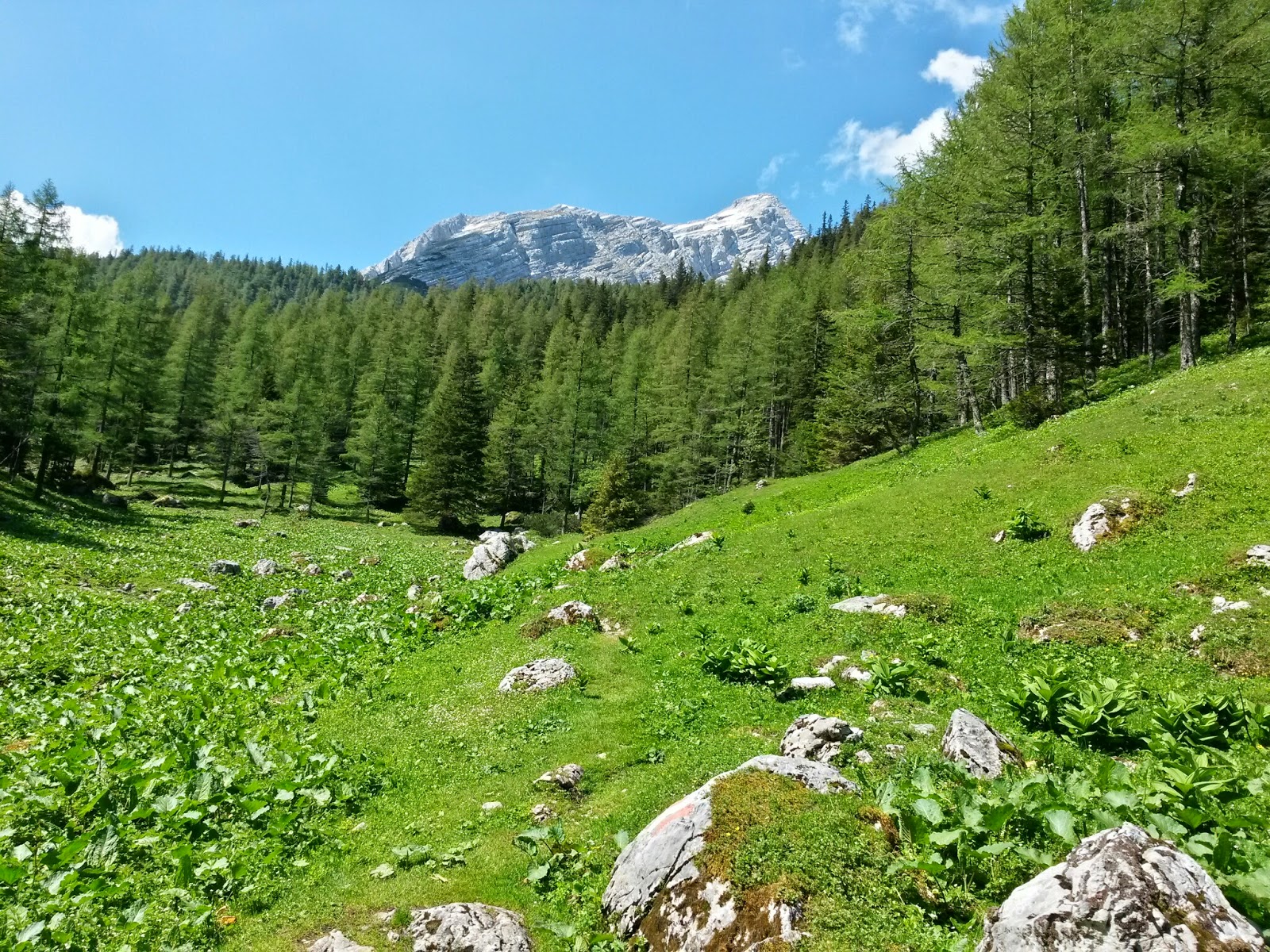 lh3.googleusercontent.com_-oonoph-4xsw_u5c3j2a62zi_aaaaaaaazqk_fe8xgzmsu8u_w1600-h1200-no_20140610_105910_richtone_2528hdr_2529.jpg lh3.googleusercontent.com_-oonoph-4xsw_u5c3j2a62zi_aaaaaaaazqk_fe8xgzmsu8u_w1600-h1200-no_20140610_105910_richtone_2528hdr_2529.jpg