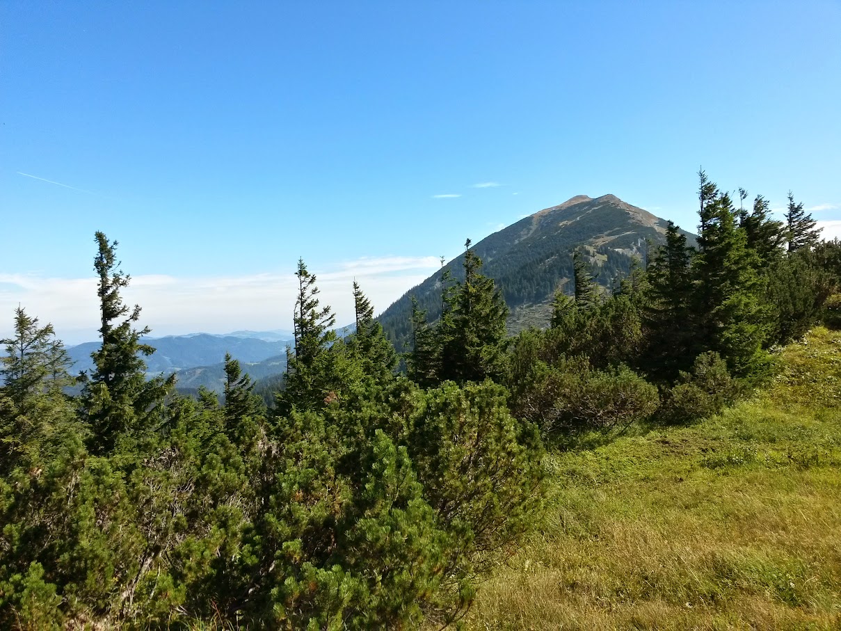 lh4.googleusercontent.com_-pxetmgjd8iq_vdrpaeuxcri_aaaaaaaandk_zhayr25htpu_w1209-h907-no_20150824_104244_richtone_2528hdr_2529.jpg lh4.googleusercontent.com_-pxetmgjd8iq_vdrpaeuxcri_aaaaaaaandk_zhayr25htpu_w1209-h907-no_20150824_104244_richtone_2528hdr_2529.jpg