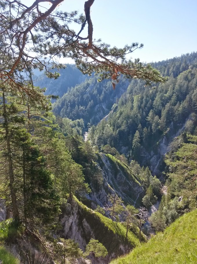 lh4.googleusercontent.com_-yerxetqspze_vafeme-fmhi_aaaaaaaamoa_awpoj25evwo_w680-h907-no_20150711_083553_richtone_2528hdr_2529.jpg lh4.googleusercontent.com_-yerxetqspze_vafeme-fmhi_aaaaaaaamoa_awpoj25evwo_w680-h907-no_20150711_083553_richtone_2528hdr_2529.jpg