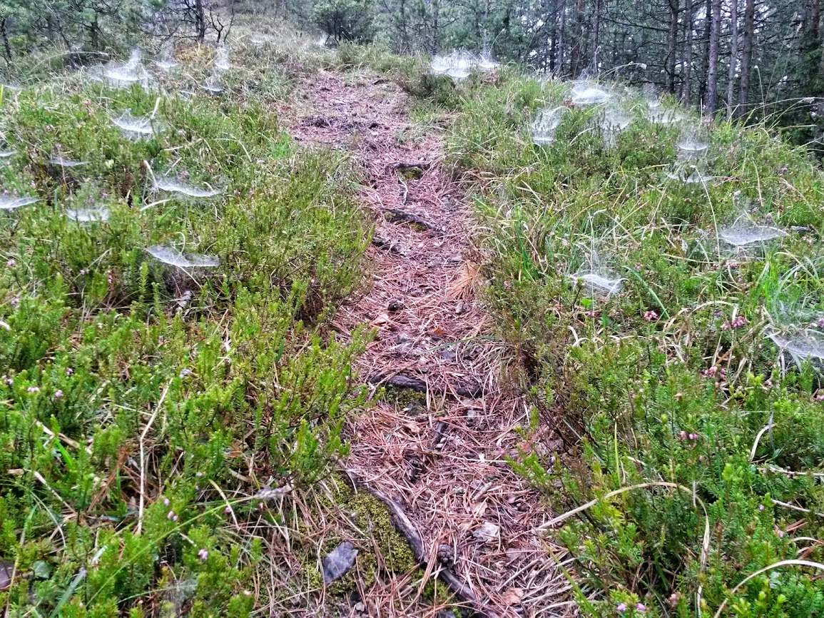 lh6.googleusercontent.com_-4zw309rh9lm_u1u8bgjruei_aaaaaaaaxh8_q3lcqd7k5ec_w1155-h866-no_20140426_103352_richtone_2528hdr_2529.jpg lh6.googleusercontent.com_-4zw309rh9lm_u1u8bgjruei_aaaaaaaaxh8_q3lcqd7k5ec_w1155-h866-no_20140426_103352_richtone_2528hdr_2529.jpg