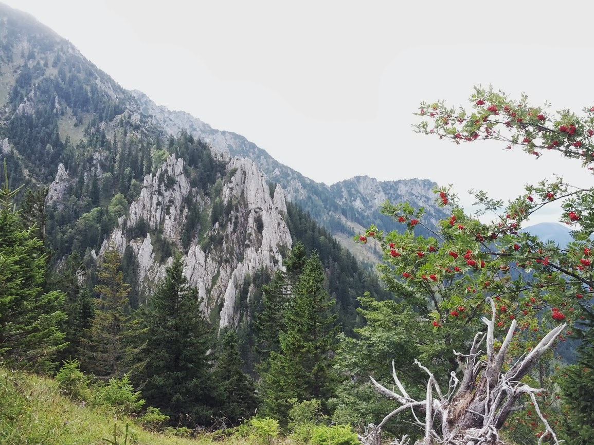 lh6.googleusercontent.com_-w2usmml2eze_ujsxewp59oi_aaaaaaaaqyk_0cviixoitn4_w1155-h866-no_img_20130914_132448.jpg lh6.googleusercontent.com_-w2usmml2eze_ujsxewp59oi_aaaaaaaaqyk_0cviixoitn4_w1155-h866-no_img_20130914_132448.jpg