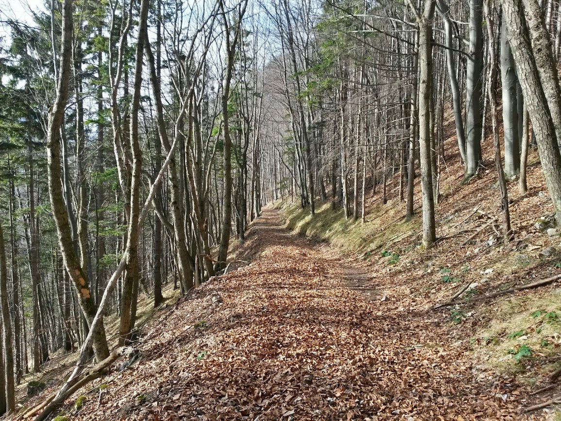 lh3.googleusercontent.com_-pi702osvflm_uv_d0_sn24i_aaaaaaaavtq_-0uzpvmxsxu_w1155-h866-no_20140215_135108_richtone_2528hdr_2529.jpg lh3.googleusercontent.com_-pi702osvflm_uv_d0_sn24i_aaaaaaaavtq_-0uzpvmxsxu_w1155-h866-no_20140215_135108_richtone_2528hdr_2529.jpg