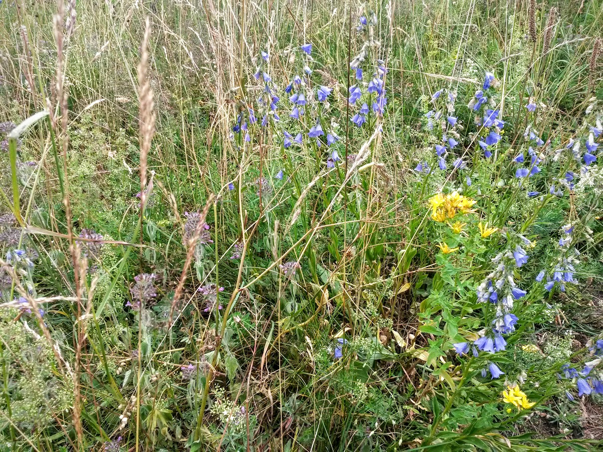 lh6.googleusercontent.com_-5md8qggyvnw_vbnn2vkqkli_aaaaaaaam1g_8kxdkrutgmm_w1209-h907-no_20150725_091403_richtone_2528hdr_2529.jpg lh6.googleusercontent.com_-5md8qggyvnw_vbnn2vkqkli_aaaaaaaam1g_8kxdkrutgmm_w1209-h907-no_20150725_091403_richtone_2528hdr_2529.jpg