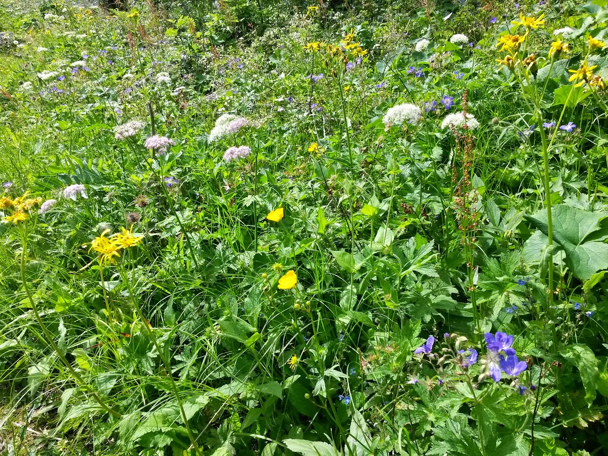 lh5.googleusercontent.com_-ezn3q2dx83i_vygvpqf0udi_aaaaaaaambm_erim7to1fic_w1200-h900-no_20150622_105643_richtone_2528hdr_2529.jpg lh5.googleusercontent.com_-ezn3q2dx83i_vygvpqf0udi_aaaaaaaambm_erim7to1fic_w1200-h900-no_20150622_105643_richtone_2528hdr_2529.jpg