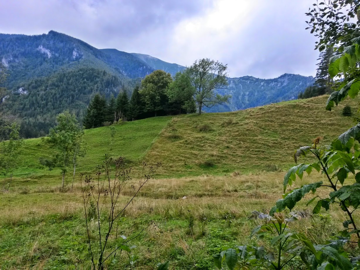 lh3.googleusercontent.com_-phjyezhdapo_u_ivryhzzji_aaaaaaaacno_5hwitluwmdu_w1228-h921-no_20140823_131518_richtone_28hdr_29.jpg lh3.googleusercontent.com_-phjyezhdapo_u_ivryhzzji_aaaaaaaacno_5hwitluwmdu_w1228-h921-no_20140823_131518_richtone_28hdr_29.jpg