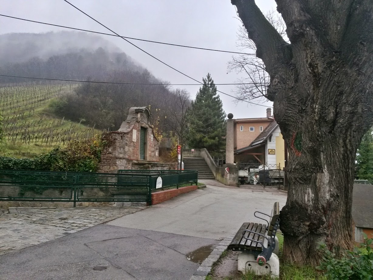 lh4.googleusercontent.com_-d1gjhum-s0k_vil3uju3uli_aaaaaaaafsy_c-uwciiaqkm_w1228-h921-no_20141206_091542_richtone_28hdr_29.jpg lh4.googleusercontent.com_-d1gjhum-s0k_vil3uju3uli_aaaaaaaafsy_c-uwciiaqkm_w1228-h921-no_20141206_091542_richtone_28hdr_29.jpg