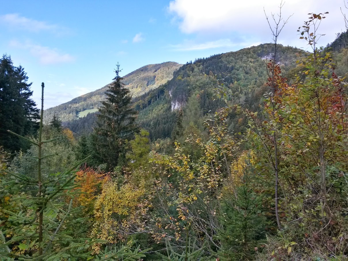 lh4.googleusercontent.com_-hg0hmuqz3hq_vijb73mlkhi_aaaaaaaaoyg_o99wqb8fg-y_w1209-h907-no_20151017_132754_richtone_2528hdr_2529.jpg lh4.googleusercontent.com_-hg0hmuqz3hq_vijb73mlkhi_aaaaaaaaoyg_o99wqb8fg-y_w1209-h907-no_20151017_132754_richtone_2528hdr_2529.jpg