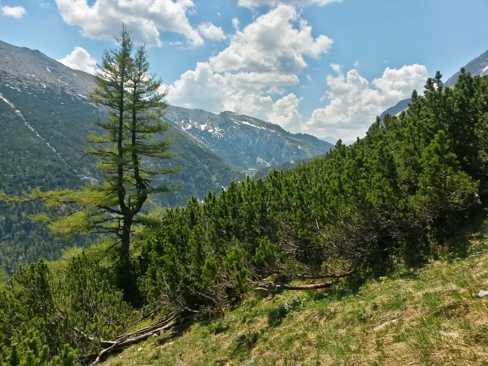 lh4.googleusercontent.com_-r24yodmh3ba_u5c3o8jht_i_aaaaaaaazru_8dm7s58rmq8_w1600-h1200-no_20140610_115332_richtone_2528hdr_2529.jpg lh4.googleusercontent.com_-r24yodmh3ba_u5c3o8jht_i_aaaaaaaazru_8dm7s58rmq8_w1600-h1200-no_20140610_115332_richtone_2528hdr_2529.jpg