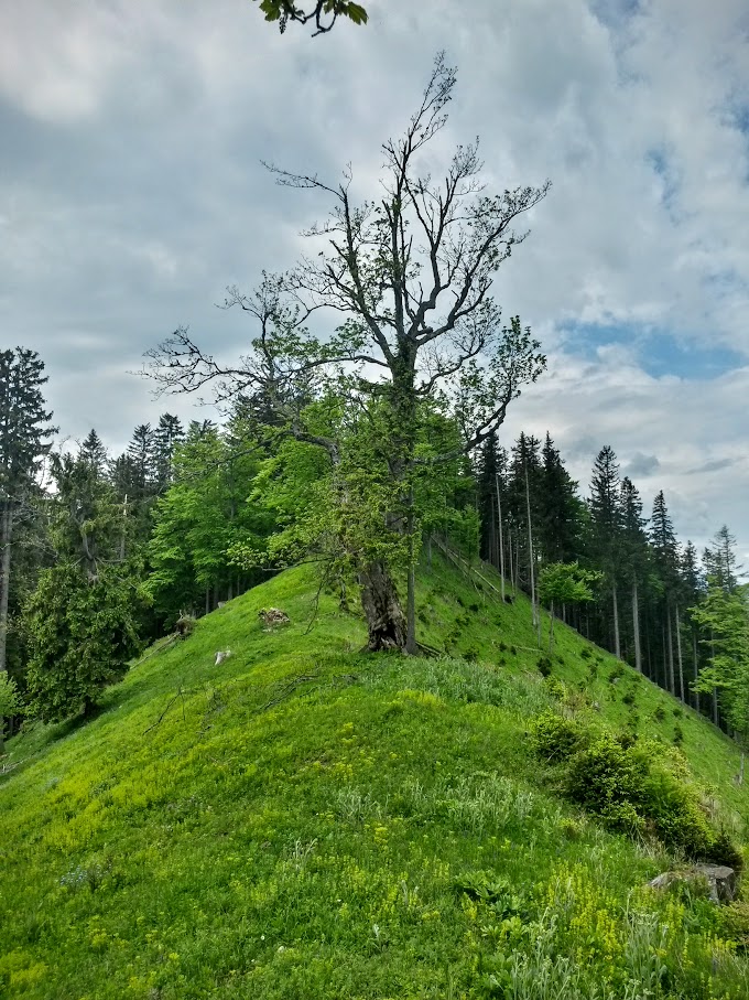 lh4.googleusercontent.com_-e4bcw8ervru_vwnupxere2i_aaaaaaaajdc_bkwp8beafem_w680-h907-no_20150530_114348_richtone_2528hdr_2529.jpg lh4.googleusercontent.com_-e4bcw8ervru_vwnupxere2i_aaaaaaaajdc_bkwp8beafem_w680-h907-no_20150530_114348_richtone_2528hdr_2529.jpg