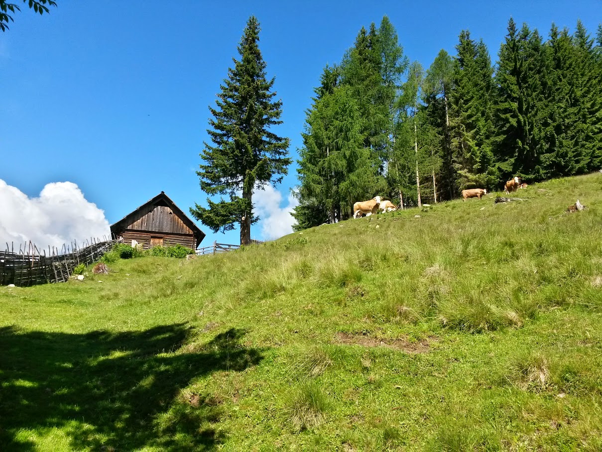 lh4.googleusercontent.com_-4lgzny02vfq_vywkqealv8i_aaaaaaaamsu_gznsl1-a7b0_w1209-h907-no_20150625_103308_richtone_2528hdr_2529.jpg lh4.googleusercontent.com_-4lgzny02vfq_vywkqealv8i_aaaaaaaamsu_gznsl1-a7b0_w1209-h907-no_20150625_103308_richtone_2528hdr_2529.jpg