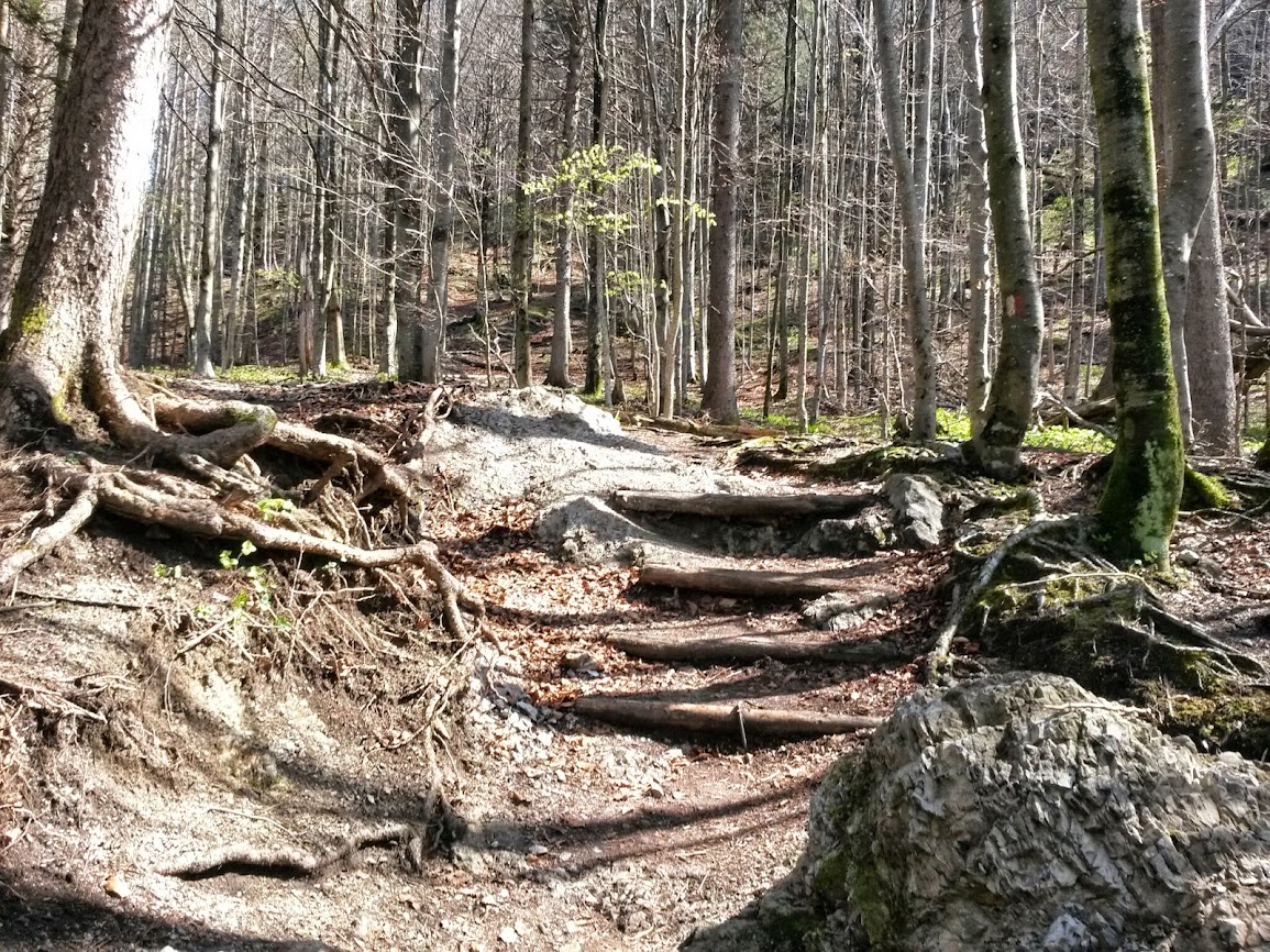 lh5.googleusercontent.com_-mtbw7exgwzy_u0frxvxquzi_aaaaaaaawcc_1jdswyplxlg_w1155-h866-no_20140411_114618.jpg lh5.googleusercontent.com_-mtbw7exgwzy_u0frxvxquzi_aaaaaaaawcc_1jdswyplxlg_w1155-h866-no_20140411_114618.jpg