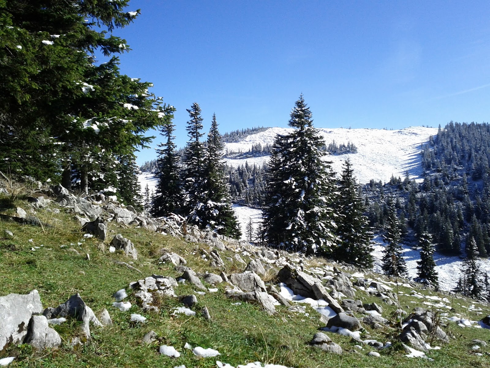 lh5.googleusercontent.com_-owqai0hk6sa_tpnh14r0dli_aaaaaaaabbu_yye9bnrwasu_w1600-h1200-no_img_20111015_135128.jpg lh5.googleusercontent.com_-owqai0hk6sa_tpnh14r0dli_aaaaaaaabbu_yye9bnrwasu_w1600-h1200-no_img_20111015_135128.jpg