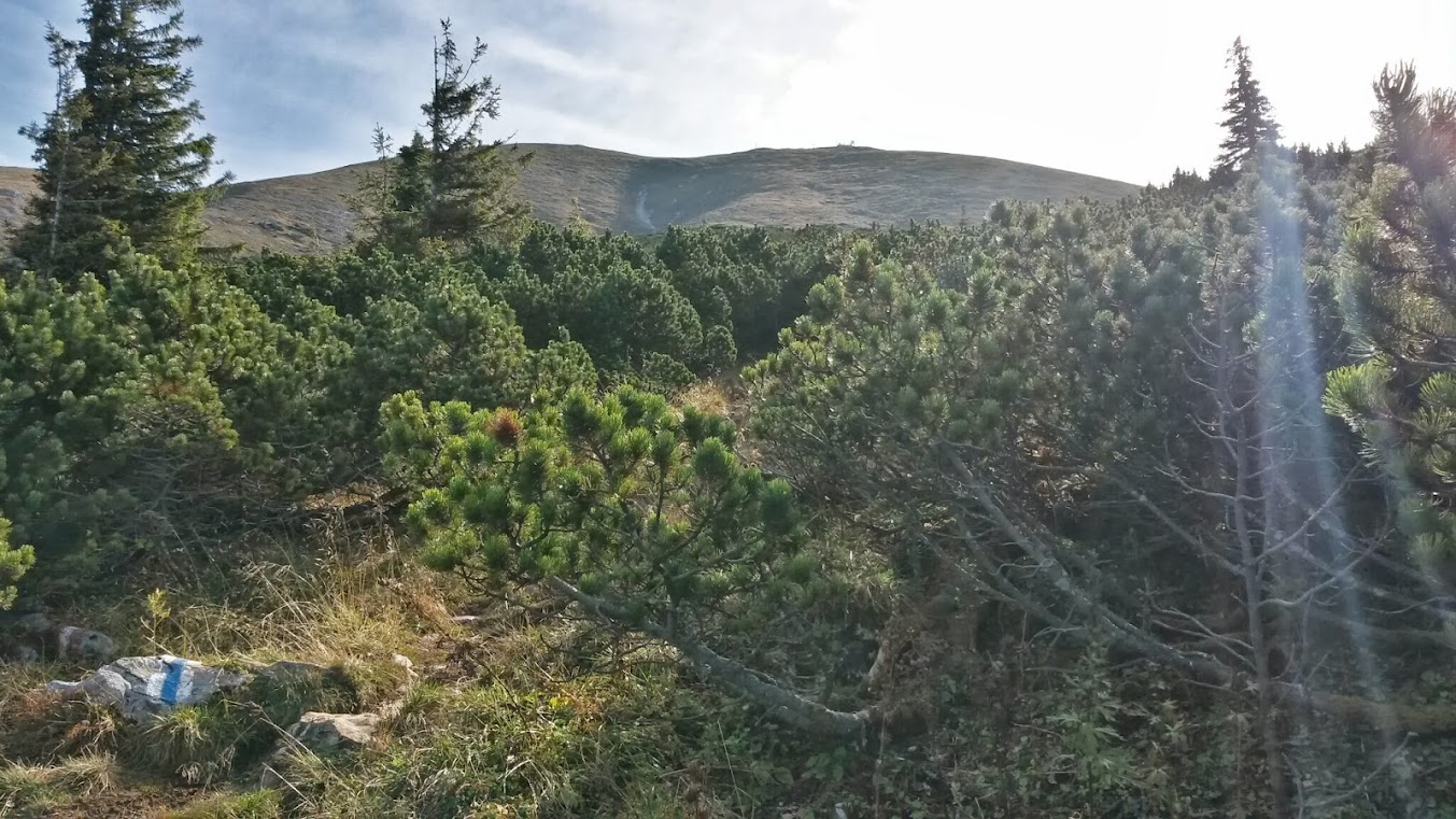 lh3.googleusercontent.com_-olkpcy97imw_ulafqxsanpi_aaaaaaaaq3s_ta8t7scsisy_w1353-h761-no_20131005_102040_richtone_2528hdr_2529.jpg lh3.googleusercontent.com_-olkpcy97imw_ulafqxsanpi_aaaaaaaaq3s_ta8t7scsisy_w1353-h761-no_20131005_102040_richtone_2528hdr_2529.jpg