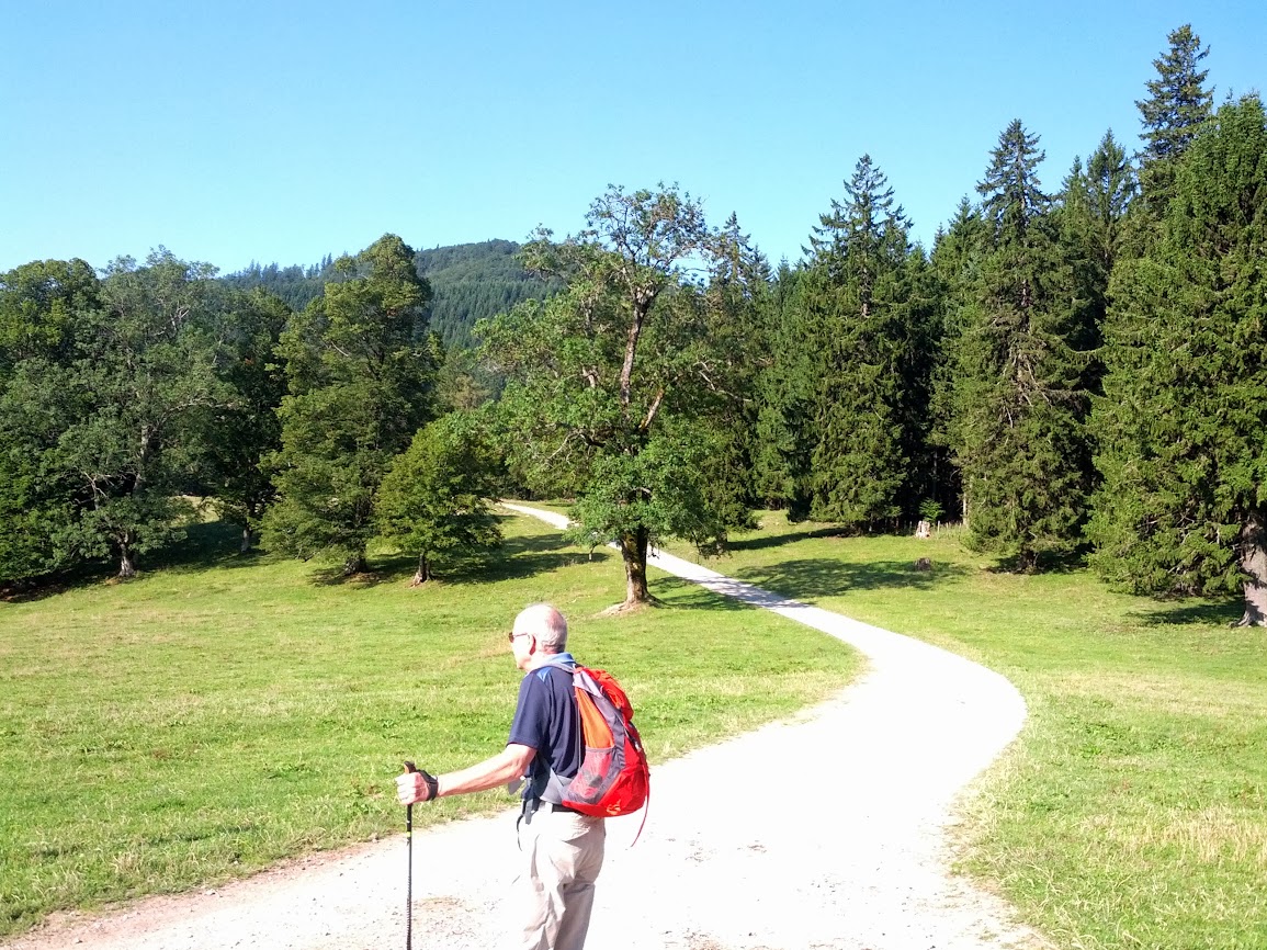 lh6.googleusercontent.com_-vfuozmu-hyi_uhczvxhhpbi_aaaaaaaapw4_eoy8lexrkki_w1155-h866-no_img_20130818_090328.jpg lh6.googleusercontent.com_-vfuozmu-hyi_uhczvxhhpbi_aaaaaaaapw4_eoy8lexrkki_w1155-h866-no_img_20130818_090328.jpg