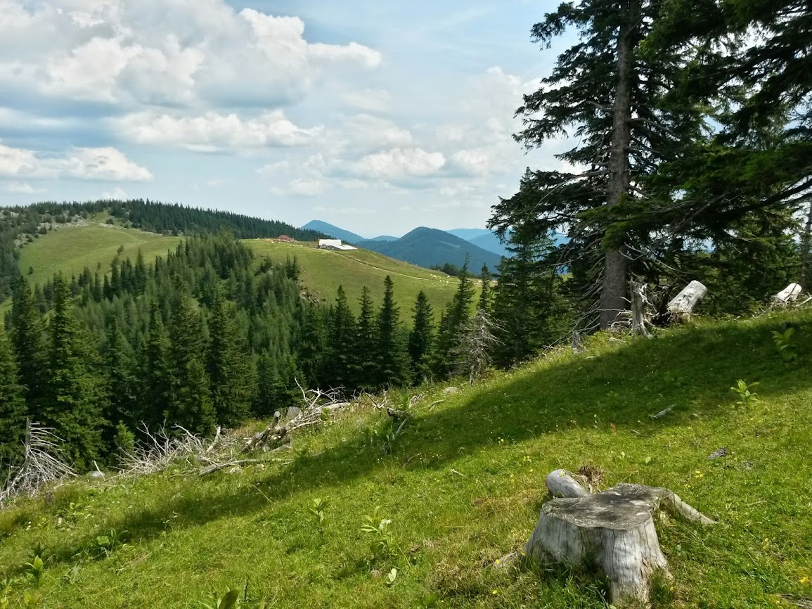 lh3.googleusercontent.com_-wa87tglni34_u6600cmowii_aaaaaaaaazs_7oed8jtr8ii_w1155-h866-no_20140628_115533_richtone_2528hdr_2529.jpg lh3.googleusercontent.com_-wa87tglni34_u6600cmowii_aaaaaaaaazs_7oed8jtr8ii_w1155-h866-no_20140628_115533_richtone_2528hdr_2529.jpg