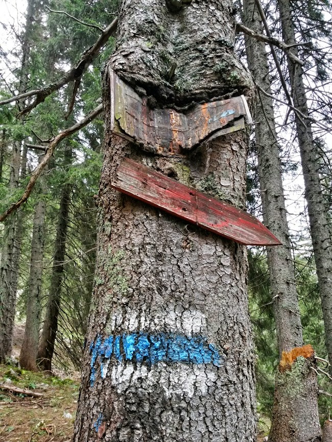 lh5.googleusercontent.com_-sl53paamgee_u25b0zapjxi_aaaaaaaaxna_b5wbcpuoldk_w650-h866-no_20140510_123455_richtone_2528hdr_2529.jpg lh5.googleusercontent.com_-sl53paamgee_u25b0zapjxi_aaaaaaaaxna_b5wbcpuoldk_w650-h866-no_20140510_123455_richtone_2528hdr_2529.jpg