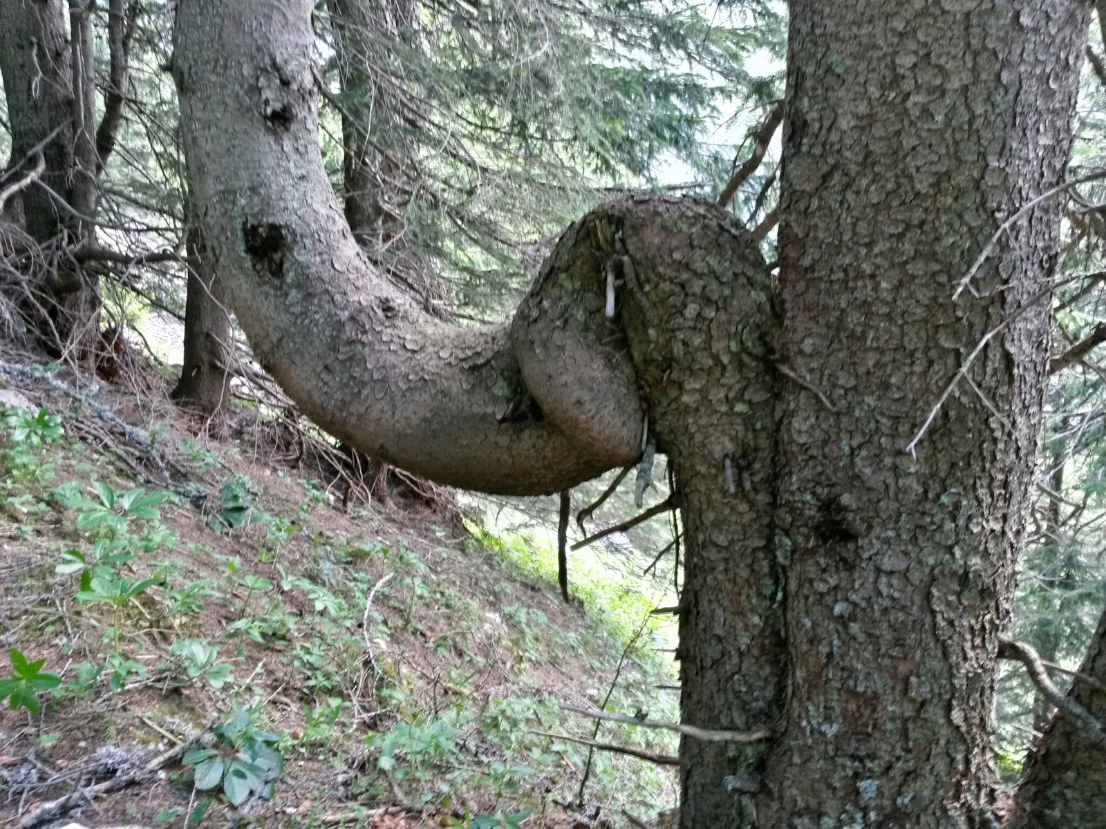 lh3.googleusercontent.com_-bzvhi6d1jra_u5c3blr53wi_aaaaaaaazq8_tdx5-n8i0bm_w1600-h1200-no_20140610_112354_richtone_2528hdr_2529.jpg lh3.googleusercontent.com_-bzvhi6d1jra_u5c3blr53wi_aaaaaaaazq8_tdx5-n8i0bm_w1600-h1200-no_20140610_112354_richtone_2528hdr_2529.jpg