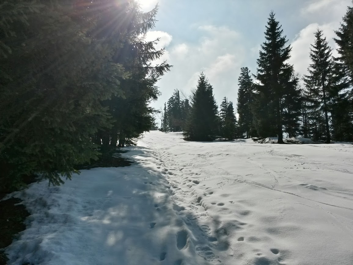 lh5.googleusercontent.com_-l-kn4pdomh8_uxszzzc7_ai_aaaaaaaavu8_mqdzewylp6w_w1155-h866-no_20140308_113518_richtone_2528hdr_2529.jpg lh5.googleusercontent.com_-l-kn4pdomh8_uxszzzc7_ai_aaaaaaaavu8_mqdzewylp6w_w1155-h866-no_20140308_113518_richtone_2528hdr_2529.jpg