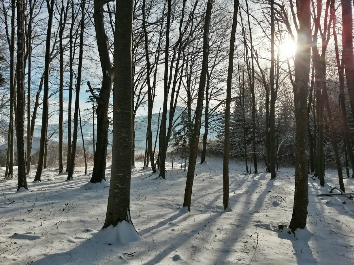 lh6.googleusercontent.com_-qx5dmql6omi_vj62jsjyqxi_aaaaaaaagws_cn7ahxiftrc_w1228-h921-no_20141227_101900_richtone_28hdr_29.jpg lh6.googleusercontent.com_-qx5dmql6omi_vj62jsjyqxi_aaaaaaaagws_cn7ahxiftrc_w1228-h921-no_20141227_101900_richtone_28hdr_29.jpg