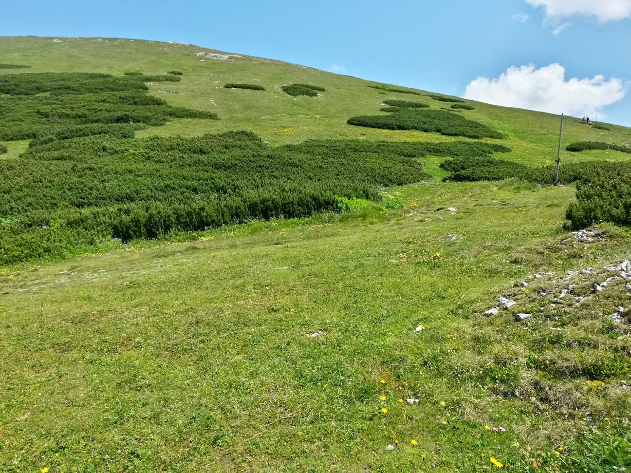 lh5.googleusercontent.com_-s5tiaqygzic_u8qdgofs5pi_aaaaaaaabqy_ex3xb34jfag_w1228-h921-no_20140719_123428_richtone_2528hdr_2529.jpg lh5.googleusercontent.com_-s5tiaqygzic_u8qdgofs5pi_aaaaaaaabqy_ex3xb34jfag_w1228-h921-no_20140719_123428_richtone_2528hdr_2529.jpg