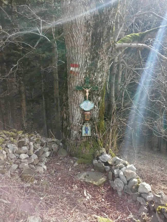 lh4.googleusercontent.com_-xd051x_-nlc_uv_dutdofai_aaaaaaaavss_diglo1z7hfs_w650-h866-no_20140215_134249_richtone_2528hdr_2529.jpg lh4.googleusercontent.com_-xd051x_-nlc_uv_dutdofai_aaaaaaaavss_diglo1z7hfs_w650-h866-no_20140215_134249_richtone_2528hdr_2529.jpg