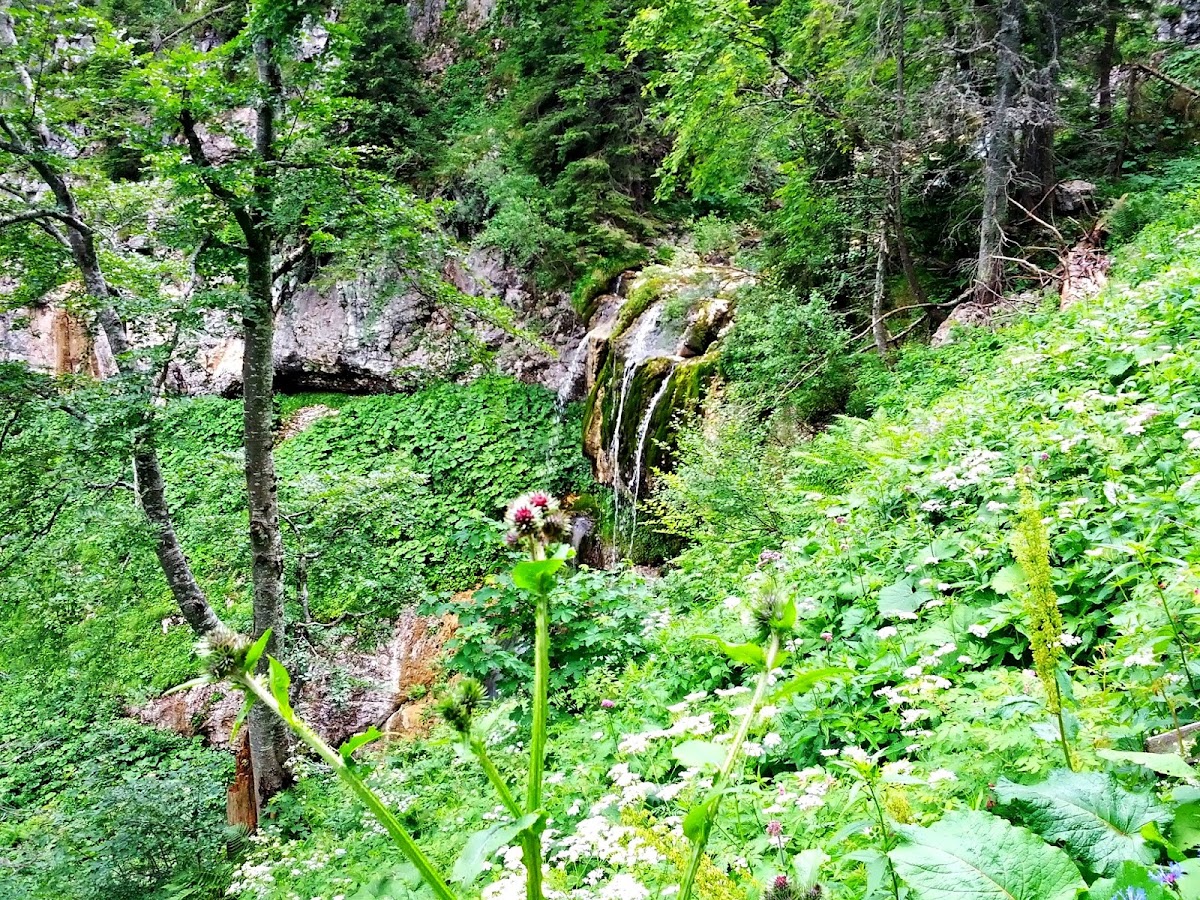 lh5.googleusercontent.com_-qbkhppbmrss_uefiqqtaeui_aaaaaaaaoaw_-vxcwyprxbc_w1200-h900-no_img_20130713_122539.jpg lh5.googleusercontent.com_-qbkhppbmrss_uefiqqtaeui_aaaaaaaaoaw_-vxcwyprxbc_w1200-h900-no_img_20130713_122539.jpg