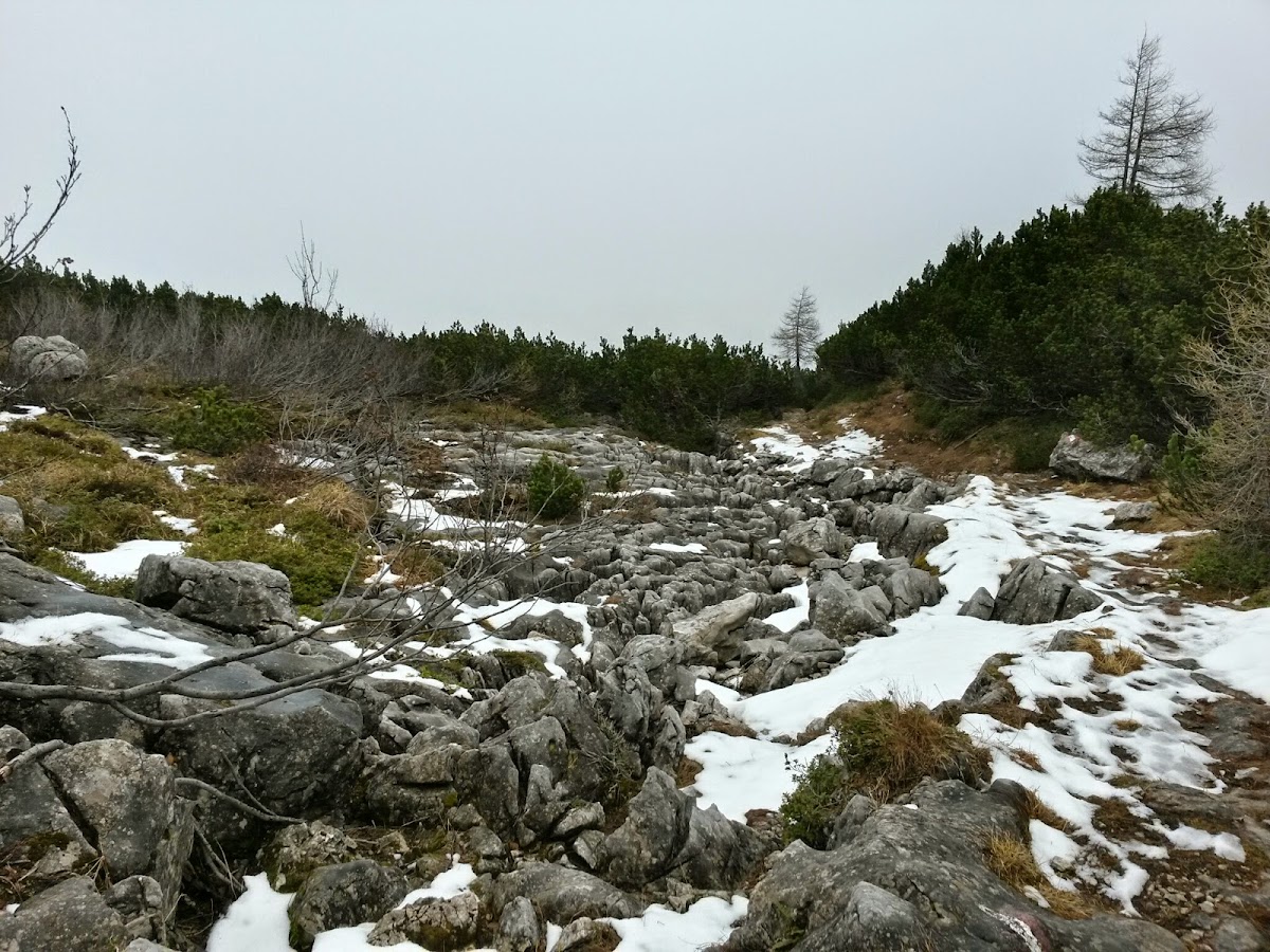 lh6.googleusercontent.com_-duxvu4inpcw_vhsabsi-o1i_aaaaaaaaftw_zsqkgveur20_w1200-h900-no_20141125_132733_richtone_28hdr_29.jpg lh6.googleusercontent.com_-duxvu4inpcw_vhsabsi-o1i_aaaaaaaaftw_zsqkgveur20_w1200-h900-no_20141125_132733_richtone_28hdr_29.jpg