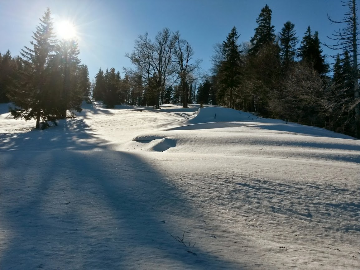 lh5.googleusercontent.com_-igbcxotlzss_uq3w2gwswci_aaaaaaaatjs_zs0cb1tfrwa_w1155-h866-no_20131215_114708_richtone_2528hdr_2529.jpg lh5.googleusercontent.com_-igbcxotlzss_uq3w2gwswci_aaaaaaaatjs_zs0cb1tfrwa_w1155-h866-no_20131215_114708_richtone_2528hdr_2529.jpg