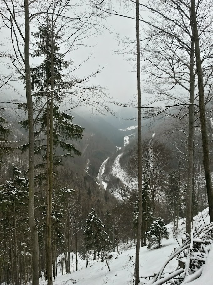 lh6.googleusercontent.com_-htrv2juwalk_vqqhaz1tsyi_aaaaaaaah30_ub1ytc1x82m_w680-h907-no_20150314_110203_richtone_28hdr_29.jpg lh6.googleusercontent.com_-htrv2juwalk_vqqhaz1tsyi_aaaaaaaah30_ub1ytc1x82m_w680-h907-no_20150314_110203_richtone_28hdr_29.jpg