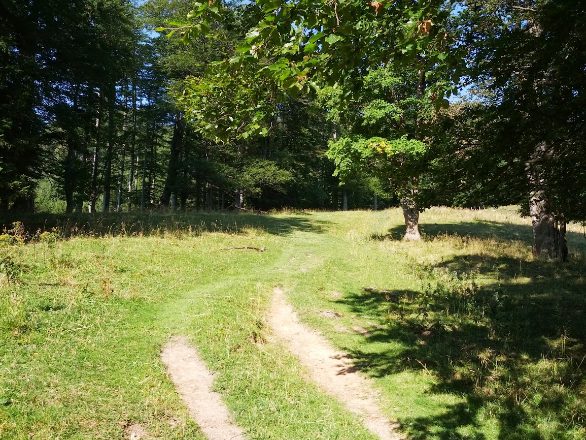 lh5.googleusercontent.com_-vllywfvdtse_uhczor0k6xi_aaaaaaaapx0_jwbefnzfaoc_w1155-h866-no_img_20130818_092505.jpg lh5.googleusercontent.com_-vllywfvdtse_uhczor0k6xi_aaaaaaaapx0_jwbefnzfaoc_w1155-h866-no_img_20130818_092505.jpg