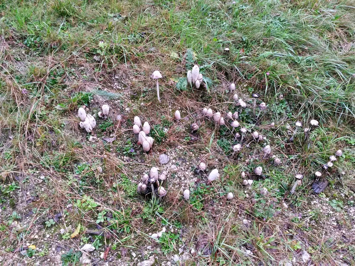 lh6.googleusercontent.com_-yicb5w7dzqg_vgaxkkba5gi_aaaaaaaaob4_8enslkq1sq0_w1209-h907-no_20150926_110445_richtone_2528hdr_2529.jpg lh6.googleusercontent.com_-yicb5w7dzqg_vgaxkkba5gi_aaaaaaaaob4_8enslkq1sq0_w1209-h907-no_20150926_110445_richtone_2528hdr_2529.jpg