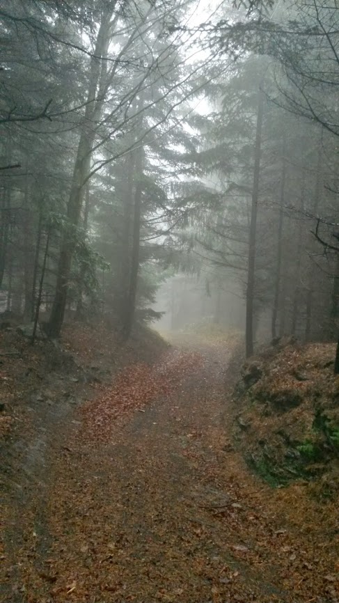 lh5.googleusercontent.com_-xcf3m0isjsw_upcr6fb7p0i_aaaaaaaasiw_ekrpsnpdmoe_w487-h866-no_20131123_112057_richtone_2528hdr_2529.jpg lh5.googleusercontent.com_-xcf3m0isjsw_upcr6fb7p0i_aaaaaaaasiw_ekrpsnpdmoe_w487-h866-no_20131123_112057_richtone_2528hdr_2529.jpg