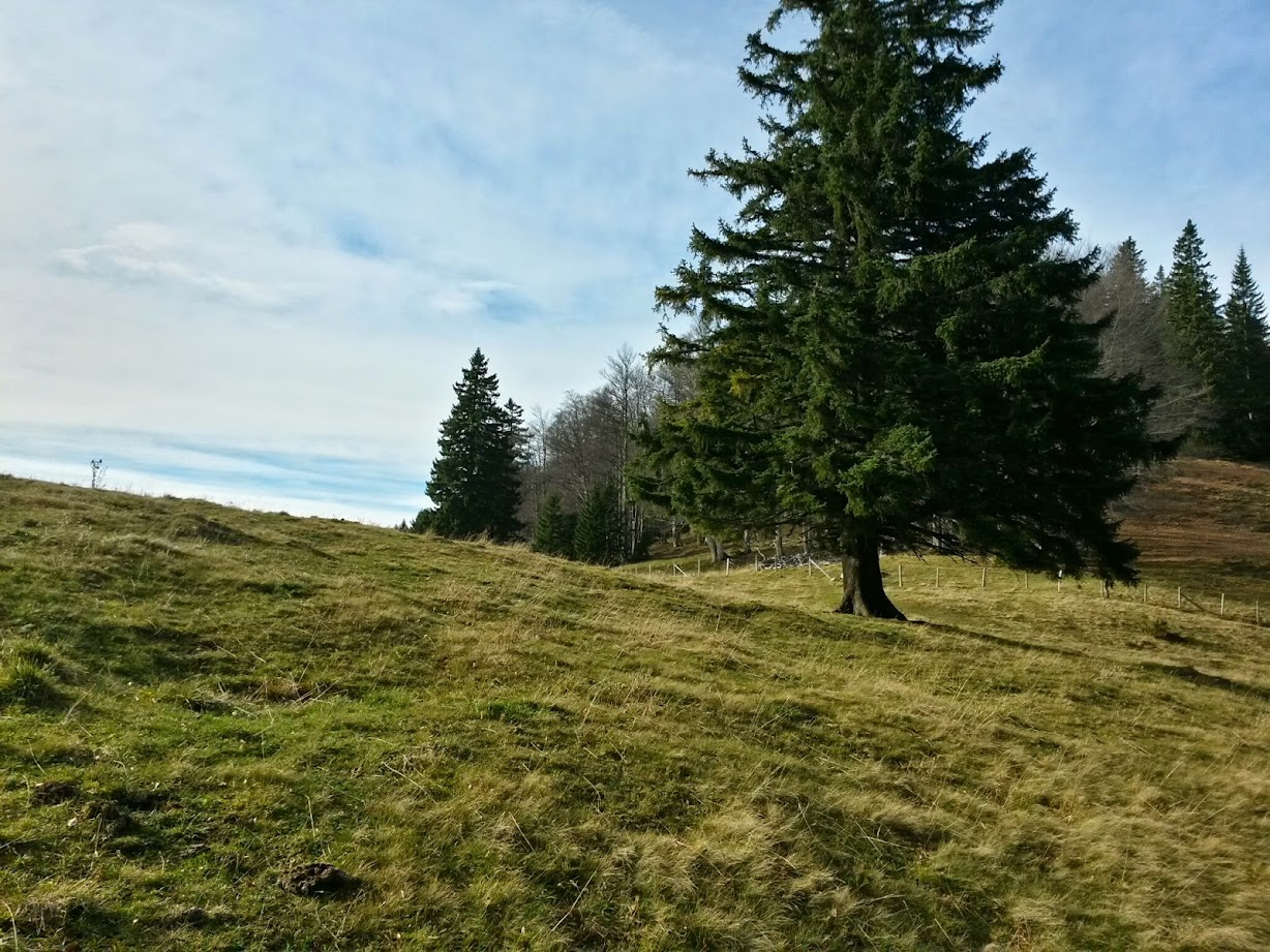 lh4.googleusercontent.com_-7wu_wdege4e_vgds8corl8i_aaaaaaaae7g_9zbtrs8wp-w_w1228-h921-no_20141115_112515_richtone_28hdr_29.jpg lh4.googleusercontent.com_-7wu_wdege4e_vgds8corl8i_aaaaaaaae7g_9zbtrs8wp-w_w1228-h921-no_20141115_112515_richtone_28hdr_29.jpg