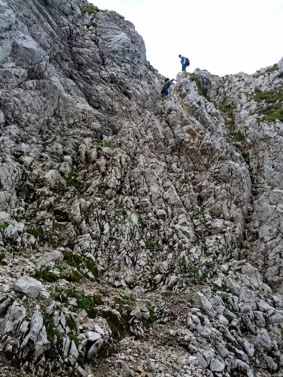 lh6.googleusercontent.com_-yvbkxcetqwk_ufukyi0420i_aaaaaaaaoys_nw1fepfdjzs_w900-h1200-no_img_20130728_090732.jpg lh6.googleusercontent.com_-yvbkxcetqwk_ufukyi0420i_aaaaaaaaoys_nw1fepfdjzs_w900-h1200-no_img_20130728_090732.jpg