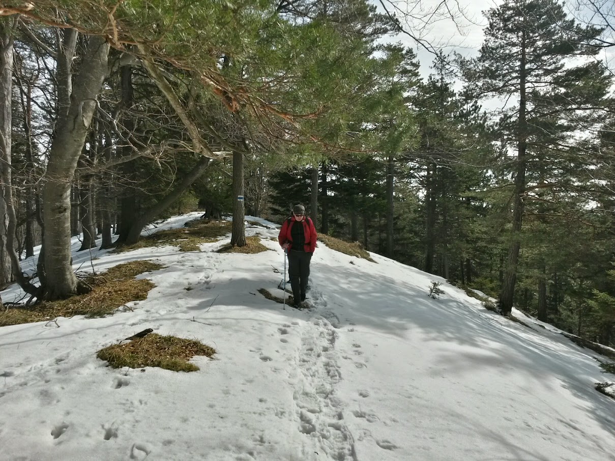 lh6.googleusercontent.com_-pwow58-pabe_vpnclf0kfji_aaaaaaaahlg_nh_gqgdd8jy_w1209-h907-no_20150301_112313_richtone_28hdr_29.jpg lh6.googleusercontent.com_-pwow58-pabe_vpnclf0kfji_aaaaaaaahlg_nh_gqgdd8jy_w1209-h907-no_20150301_112313_richtone_28hdr_29.jpg