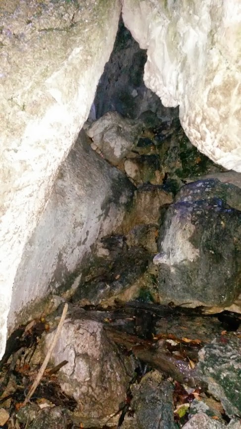 lh3.googleusercontent.com_-awiz9tnx_k4_ulaecvpax_i_aaaaaaaaq1q_7_6lbqbhkaq_w487-h866-no_20131005_091105.jpg lh3.googleusercontent.com_-awiz9tnx_k4_ulaecvpax_i_aaaaaaaaq1q_7_6lbqbhkaq_w487-h866-no_20131005_091105.jpg