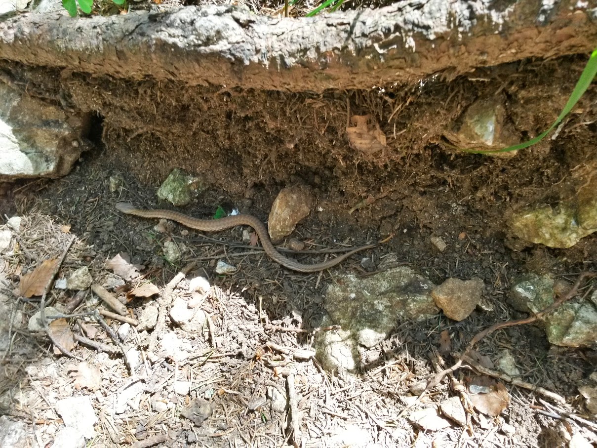 lh4.googleusercontent.com_-g3sbco_claw_vzfmbyfwrfi_aaaaaaaamfg_jgmxap1zezi_w1209-h907-no_20150704_125344_richtone_2528hdr_2529.jpg lh4.googleusercontent.com_-g3sbco_claw_vzfmbyfwrfi_aaaaaaaamfg_jgmxap1zezi_w1209-h907-no_20150704_125344_richtone_2528hdr_2529.jpg