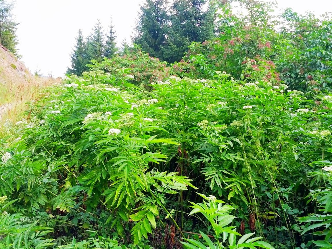 lh5.googleusercontent.com_-guaj7rr1wxs_ugysgitzdzi_aaaaaaaapdw_uun7uz3cnye_w1155-h866-no_img_20130810_114541.jpg lh5.googleusercontent.com_-guaj7rr1wxs_ugysgitzdzi_aaaaaaaapdw_uun7uz3cnye_w1155-h866-no_img_20130810_114541.jpg