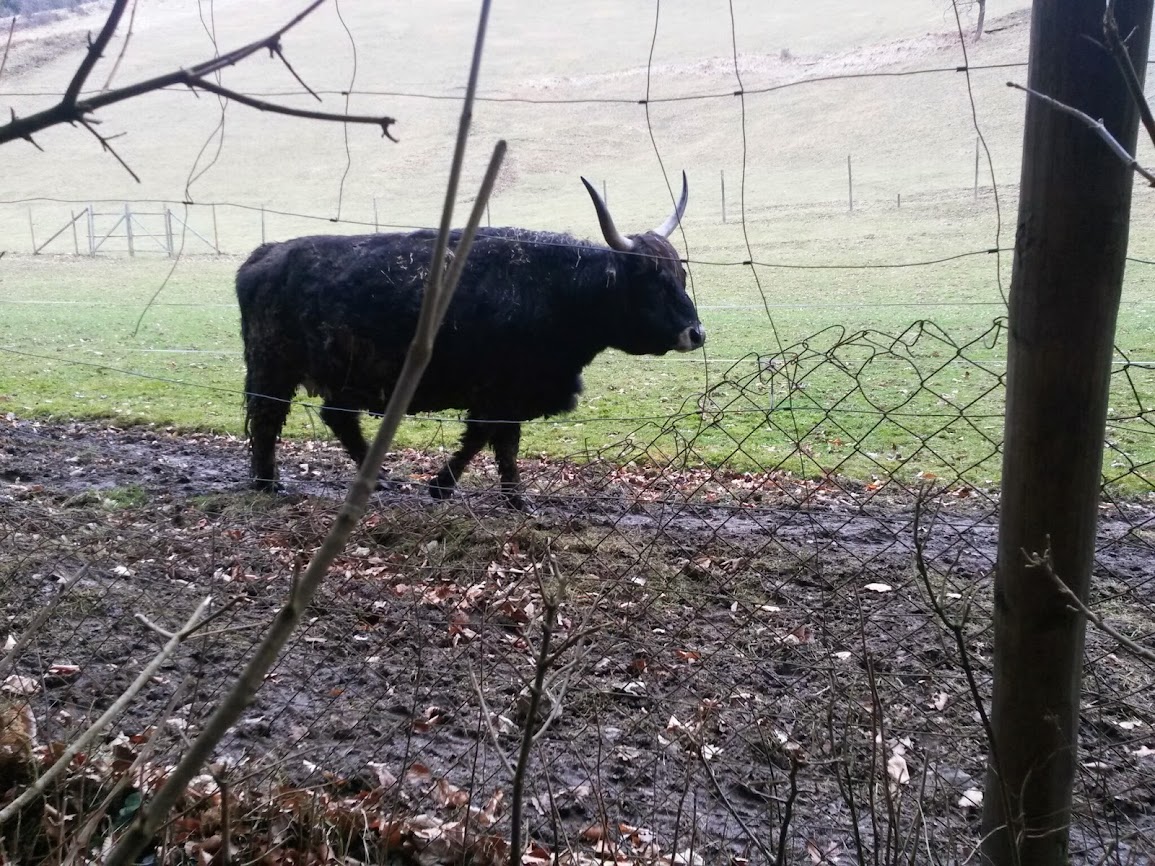 lh4.googleusercontent.com_-88yna78uqlo_uv_ce7uql2i_aaaaaaaavkc_g8aly1kna3u_w1155-h866-no_20140215_100221.jpg lh4.googleusercontent.com_-88yna78uqlo_uv_ce7uql2i_aaaaaaaavkc_g8aly1kna3u_w1155-h866-no_20140215_100221.jpg