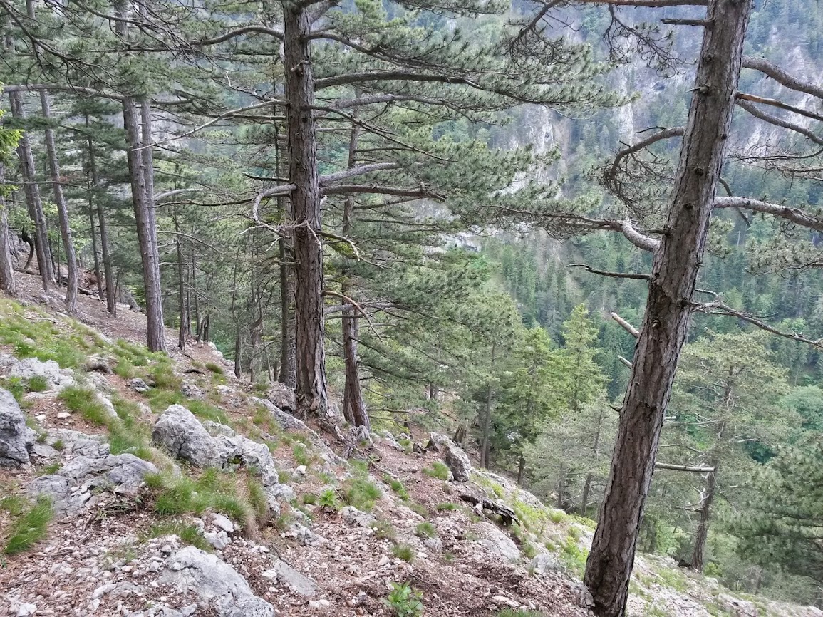 lh6.googleusercontent.com_-qehpoce9rcy_u4nqu1aw6mi_aaaaaaaayog_nqsyvzg9gnu_w1155-h866-no_20140531_133702_richtone_2528hdr_2529.jpg lh6.googleusercontent.com_-qehpoce9rcy_u4nqu1aw6mi_aaaaaaaayog_nqsyvzg9gnu_w1155-h866-no_20140531_133702_richtone_2528hdr_2529.jpg