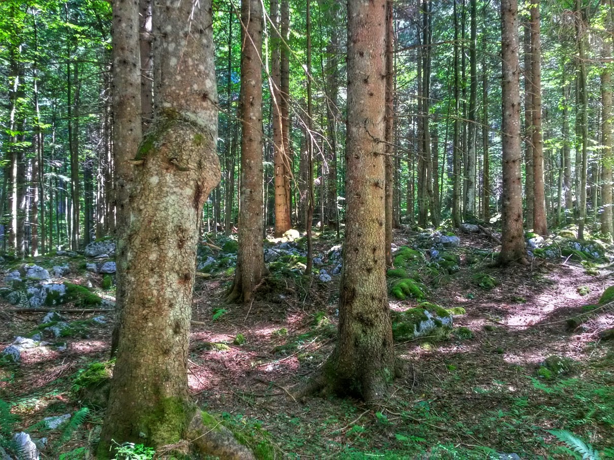 lh6.googleusercontent.com_-gohal3qtk8c_vdscmtzpcai_aaaaaaaane0_w6a0wp0tacy_w1209-h907-no_20150824_125749_richtone_2528hdr_2529.jpg lh6.googleusercontent.com_-gohal3qtk8c_vdscmtzpcai_aaaaaaaane0_w6a0wp0tacy_w1209-h907-no_20150824_125749_richtone_2528hdr_2529.jpg